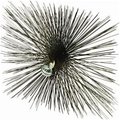 Meeco Mfg Chimney Brush Square Wire 12 in 31212